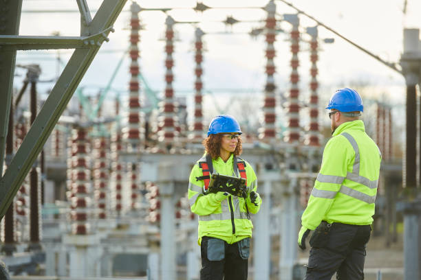 Best Electric Panel Repair  in Luverne, MN