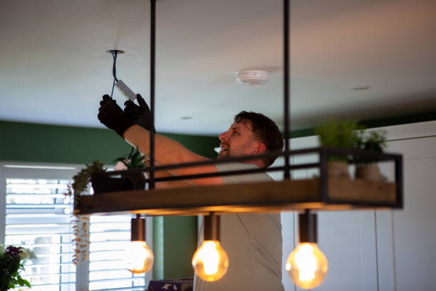 Best Home Electrical Repair  in Luverne, MN
